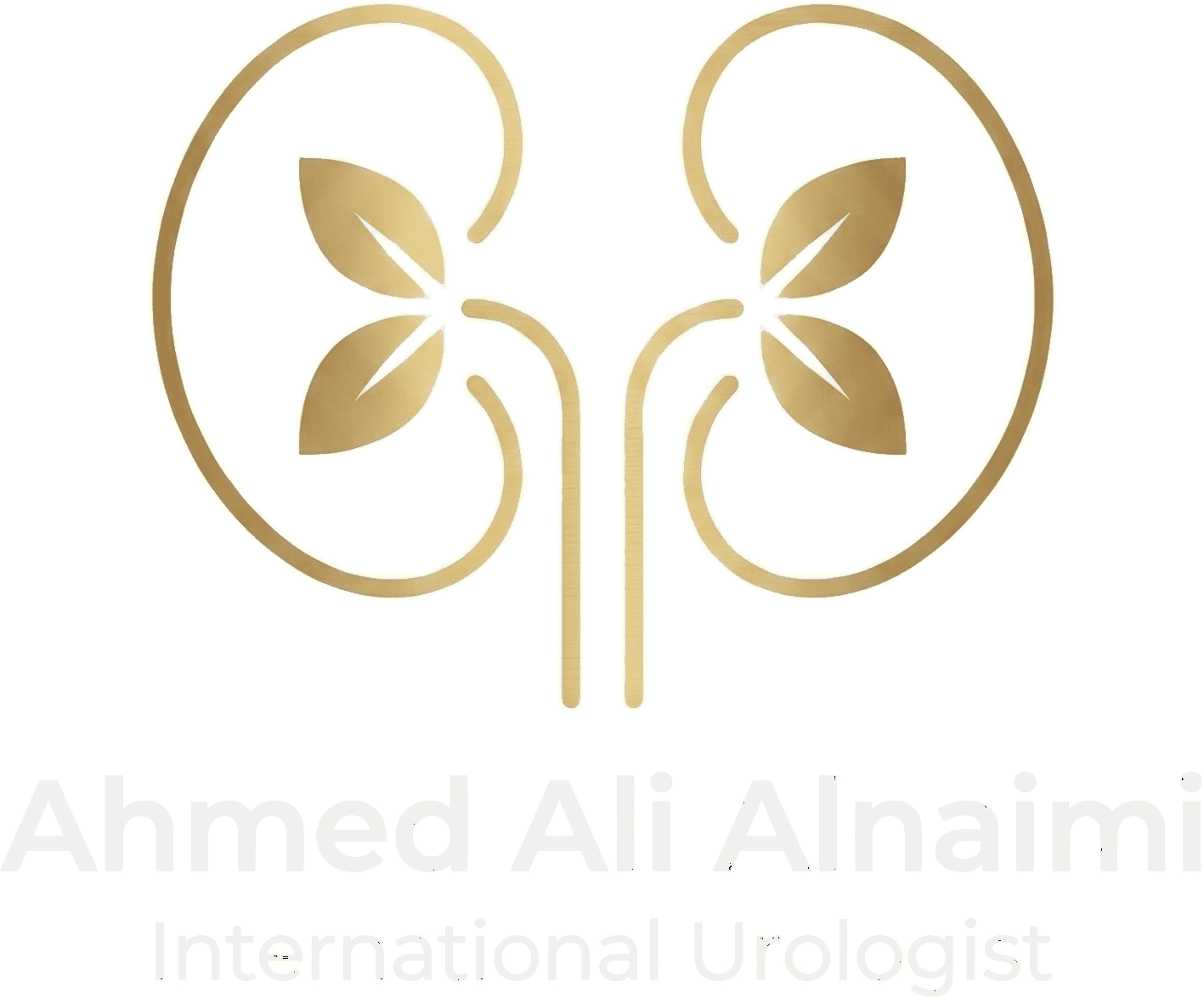 Dr. Ahmed Ali Alnaimi